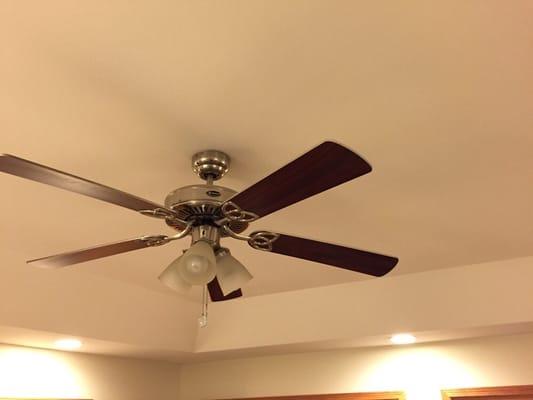 Ceiling fan