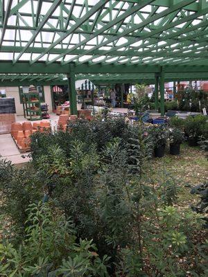 The greenhouse is pretty big. See the man there for scale. There was less in here probably due to winter.