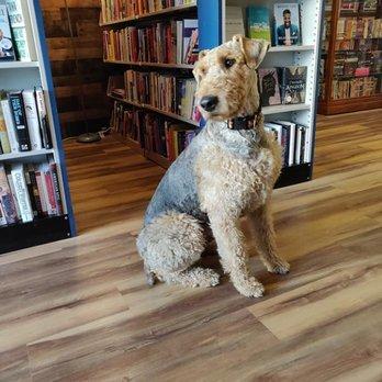 Winston, the Book Nook Bookstore Greeter