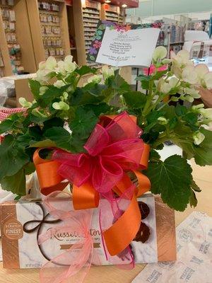 Beguiling Begonia and Russell Stover Chocolates