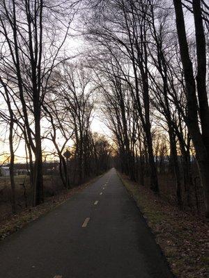 Bare trees as fall goes on.