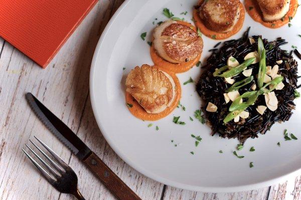 Seared Scallops - Romesco, Beluga Lentils with Toasted Almonds and Scallions