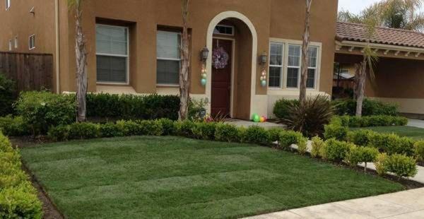 Complete Landscaping and more we do it all