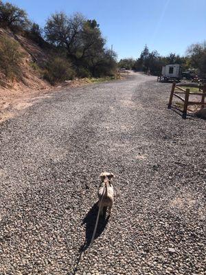 Riverside RV campsites driveway