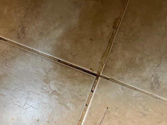 No Re-Caulking or cleaning done in bathroom