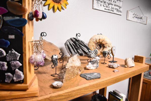 Rocks and Fossils for sale in the Sticks Stones and Bonez gift shop.