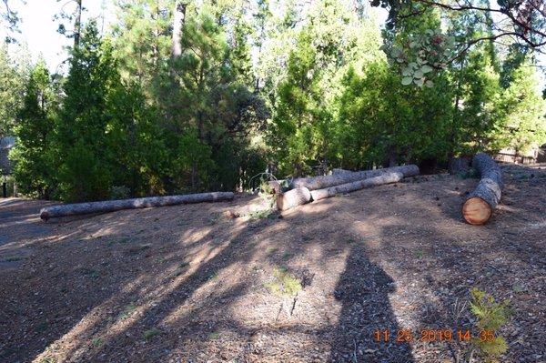 Trees left laying to close to others creating a new fire hazard. Green tree cut without owners notification or permission.