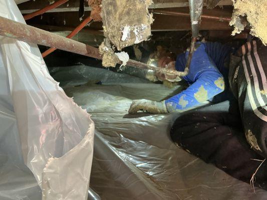 Crawl Space Vapor Barrier, Spray Foam & Black Mold Removal!