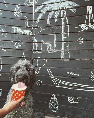 Our dog enjoying some whipped cream! 3