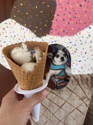 Coconut milk ice cream with m&m's