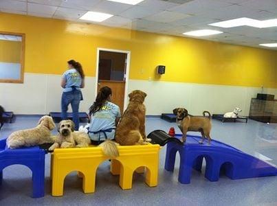 Having fun in the Play Rooms