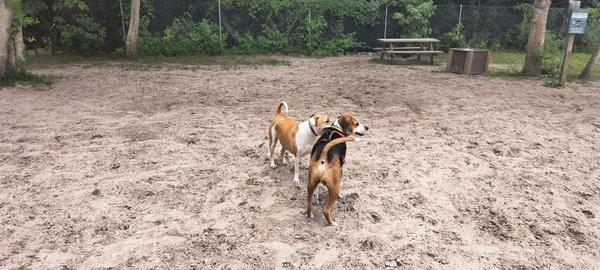 My first friend at poochies park