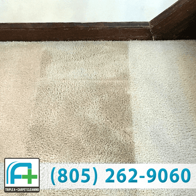 Carpet Cleaning Service