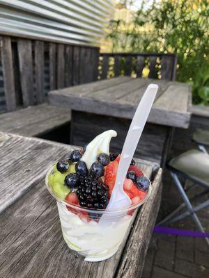 Yogurt with fruit