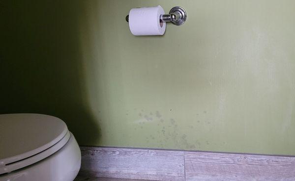 Mold or urine stains on the bathroom wall.