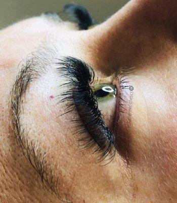 Volume lash extensions