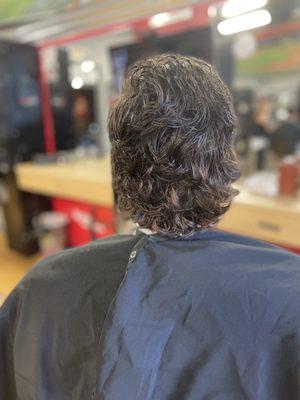 Wavy mullet