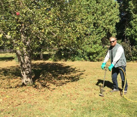 Keeping trees and shrubs healthy is one of the more rewarding services that Hoppe Tree Service performs.