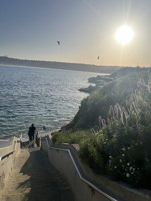 Morning love at La Jolla cove