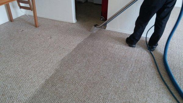 Carpet Cleaning