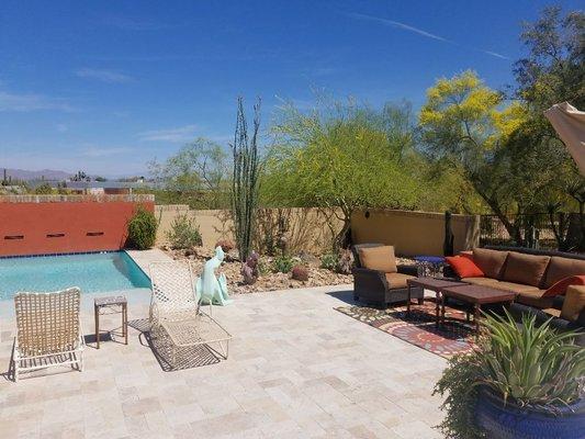 Landscape Planting in Paradise Valley