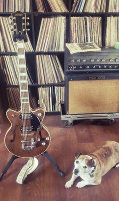 #gretschstreamlinerG2655T #dogsandguitars #sandiegotreasure