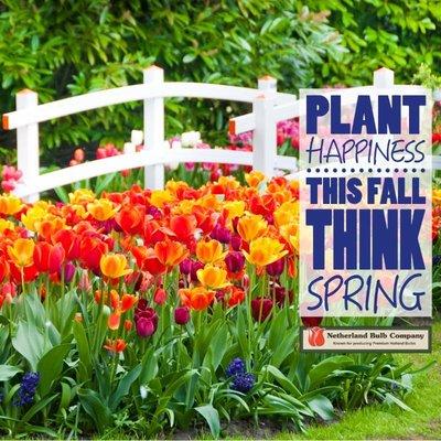 Spring & Summer flowering bulbs are in!  Plant them this fall...enjoy bursts of color next year!