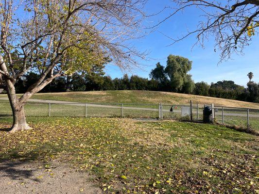 Robertson Park - North Meadow Dog Park