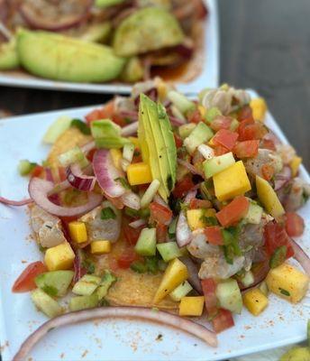 Fish Ceviche