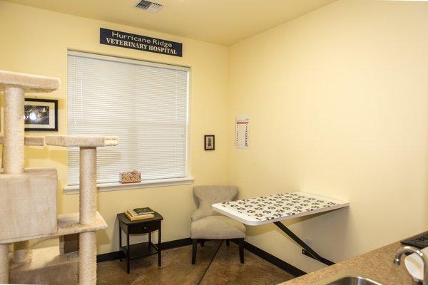 The hospital can be unnerving for some cats; we have a separate feline exam room to help lower stress for your cat.