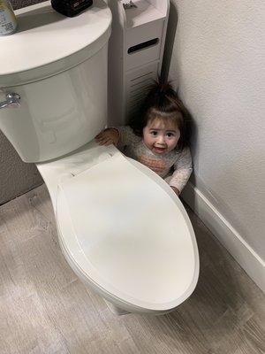 Found what was causing issues with this toilet.