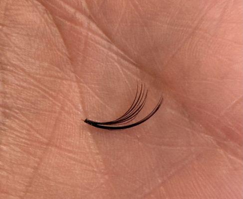 Another lash with a spike to give the wispy look & then a fan on it. After this fell off I felt a little relief on my eye.