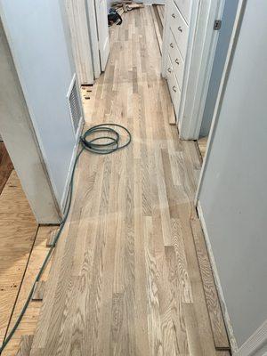 Installing White Oak Hardwood.