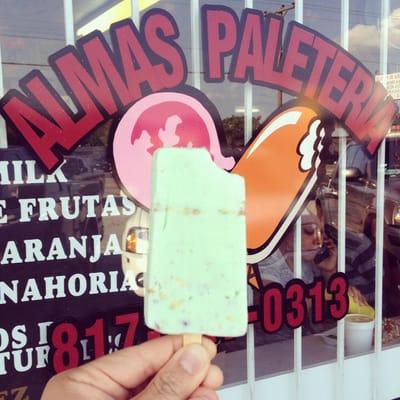 Pistachio Paleta!