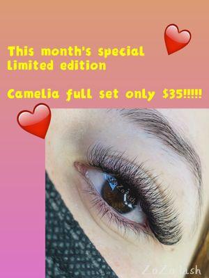 ZoZo lash
Anniversary‼‼‼This month's discount event is here！！！ Camelia new full set only$35

Limited quantity, first come first served