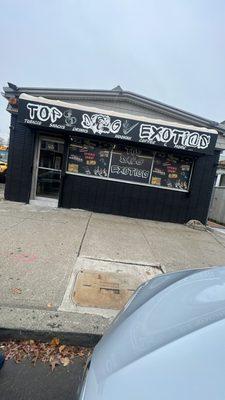 TopDog Exotics