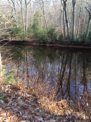 Nickerson Park Camp Grounds