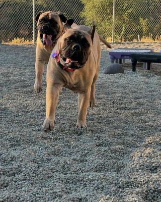 Andre and Sissy having fun at the resort.