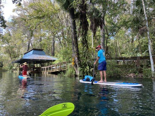 The guy in blue was our tour guide, Justin Severance. He knows where all the critters hang out! We had fun and he has a lot of info to share