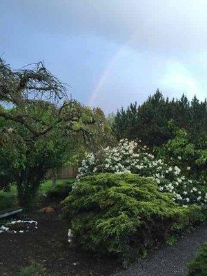 Beautiful Spring Day in Our Front Yard