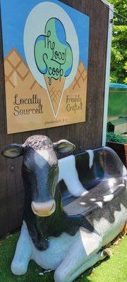 Cow bench