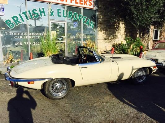 69' jaguar e-type