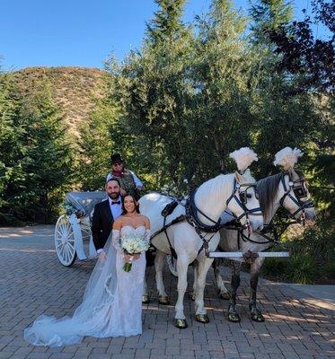 Horse & Carriage by G&F carriages