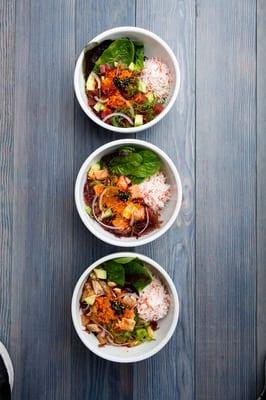 Soy Wasabi Tuna, Garlic Chili Salmon & Sesame Albacore Poke Bowls!