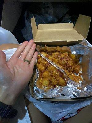 Cheesy Bacon Tots  Approximately $8.00 for this little amount! Stale and dry