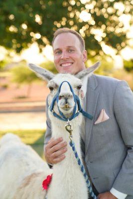 Alpaca & Llama Rentals for special appearances. Attending birthday parties, weddings, school visits, photography sessions, Ev...