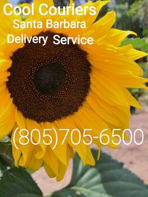 Cool Couriers Santa Barbara Delivery Service