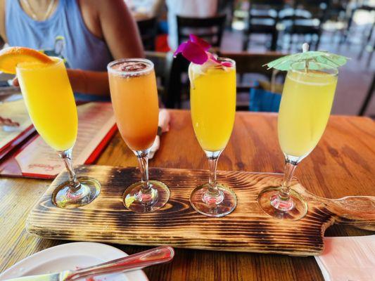 Mimosa flight