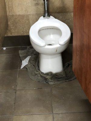 The nasty men's room. That towel has been laying on the floor around the toilet for two weeks. What a dump!