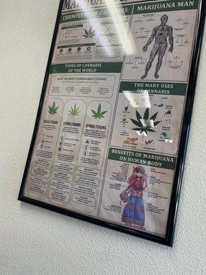 Awesome wall decor, very informative and great to read while you're waiting for food and drinks!